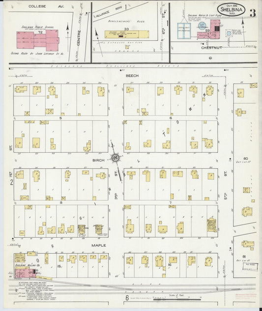 Sanborn Fire Insurance Map from Shelbina, Shelby County, Missouri (1916), Sheet #0003 - Historic Sanborn Fire Insurance Map Print, vintage old map wall art, antique decor, genealogy gift, Missouri Missouri map