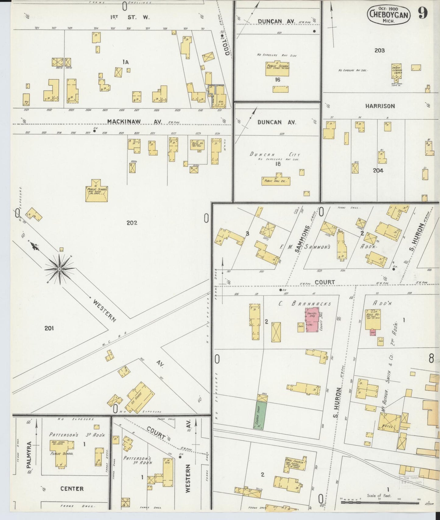 Sanborn Fire Insurance Map from Cheboygan, Cheboygan County, Michigan (1900), Sheet #0009 - Historic Sanborn Fire Insurance Map Print, vintage old map wall art, antique decor, genealogy gift, Michigan Michigan map