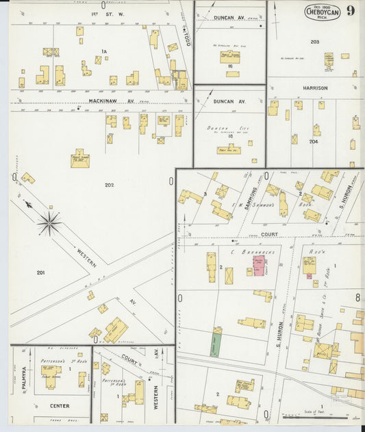 Sanborn Fire Insurance Map from Cheboygan, Cheboygan County, Michigan (1900), Sheet #0009 - Historic Sanborn Fire Insurance Map Print, vintage old map wall art, antique decor, genealogy gift, Michigan Michigan map