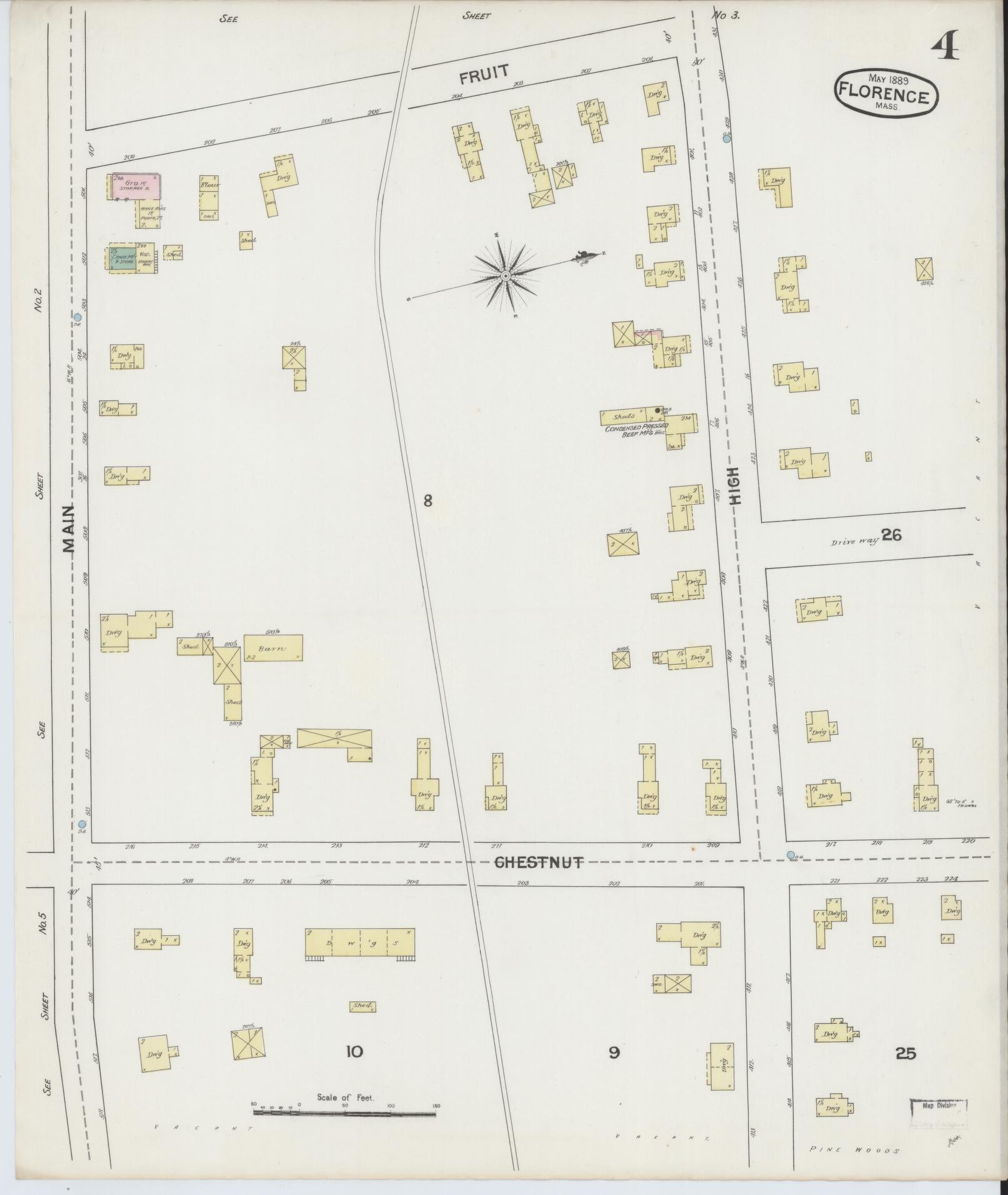Sanborn Fire Insurance Map from Florence, Hampshire County, Massachusetts (1889), Sheet #0004 - Complete Map Set gallery image, historic Sanborn map, vintage wall art, Massachusetts Massachusetts