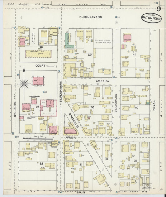 Sanborn Fire Insurance Map from Baton Rouge, East Baton Rouge Parish, Louisiana (1891), Sheet #0009 - Historic Sanborn Fire Insurance Map Print, vintage old map wall art, antique decor, genealogy gift, Louisiana Louisiana map