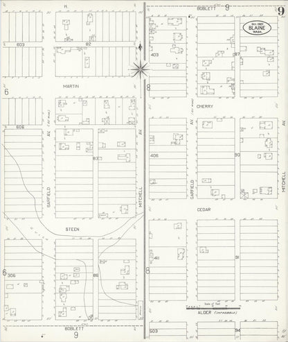 Sanborn Fire Insurance Map from Blaine, Whatcom County, Washington (1907), Sheet #0009 - Complete Map Set gallery image, historic Sanborn map, vintage wall art, Washington Washington