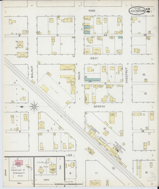 Sanborn Fire Insurance Map from Lexington, McLean County, Illinois (1892), Sheet #0002 - Historic Sanborn Fire Insurance Map Print, vintage old map wall art, antique decor, genealogy gift, Illinois Illinois map