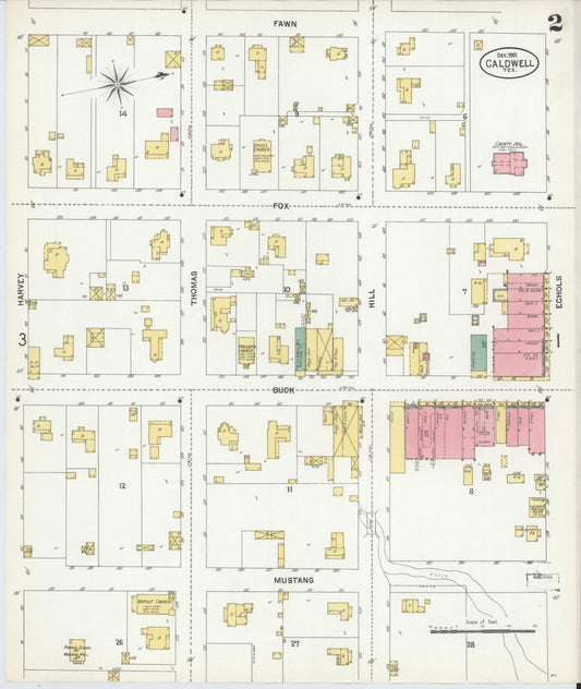 Sanborn Fire Insurance Map from Caldwell, Burleson County, Texas (1901), Sheet #0002 - Historic Sanborn Fire Insurance Map Print, vintage old map wall art, antique decor, genealogy gift, Texas Texas map