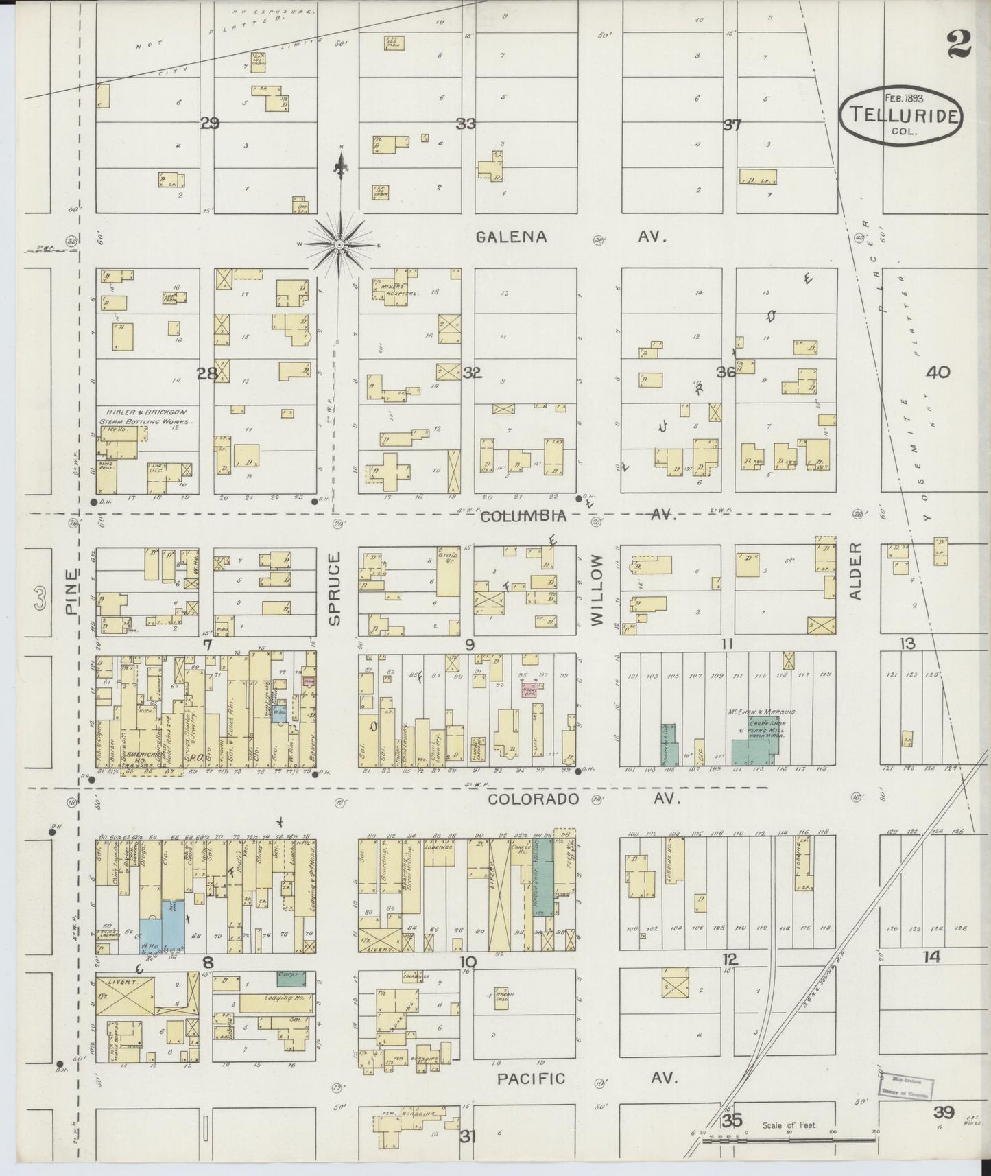 Sanborn Fire Insurance Map from Telluride, San Miguel County, Colorado (1893), Sheet #0002 - Complete Map Set gallery image, historic Sanborn map, vintage wall art, Colorado Colorado