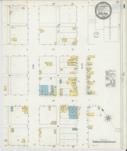 Sanborn Fire Insurance Map from Chelsea, Rogers County, Oklahoma (1898), Sheet #0001 - Complete Map Set gallery image, historic Sanborn map, vintage wall art, Oklahoma Oklahoma