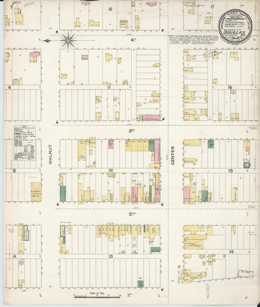 Sanborn Fire Insurance Map from Douglas, Converse County, Wyoming (1894), Sheet #0001 - Historic Sanborn Fire Insurance Map Print, vintage old map wall art, antique decor, genealogy gift, Wyoming Wyoming map