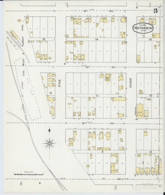 Sanborn Fire Insurance Map from Two Harbors, Lake County, Minnesota (1892), Sheet #0003 - Historic Sanborn Fire Insurance Map Print, vintage old map wall art, antique decor, genealogy gift, Minnesota Minnesota map