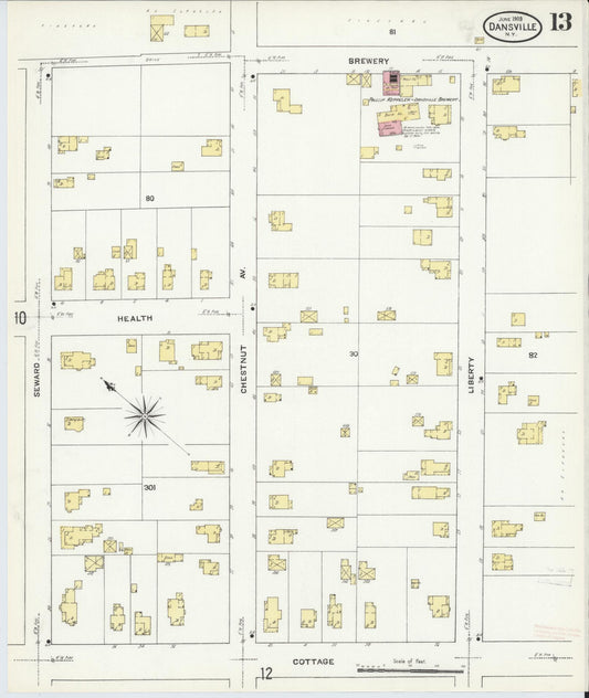 Sanborn Fire Insurance Map from Dansville, Livingston County, New York (1909), Sheet #0013 - Historic Sanborn Fire Insurance Map Print, vintage old map wall art, antique decor, genealogy gift, New York New York map