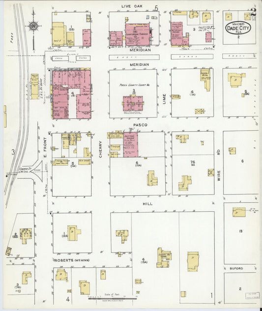 Sanborn Fire Insurance Map from Dade City, Pasco County, Florida (1920), Sheet #0002 - Historic Sanborn Fire Insurance Map Print, vintage old map wall art, antique decor, genealogy gift, Florida Florida map