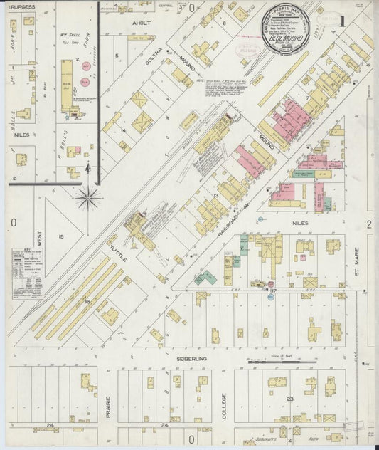 Sanborn Fire Insurance Map from Blue Mound, Macon County, Illinois. (1899) – Map View