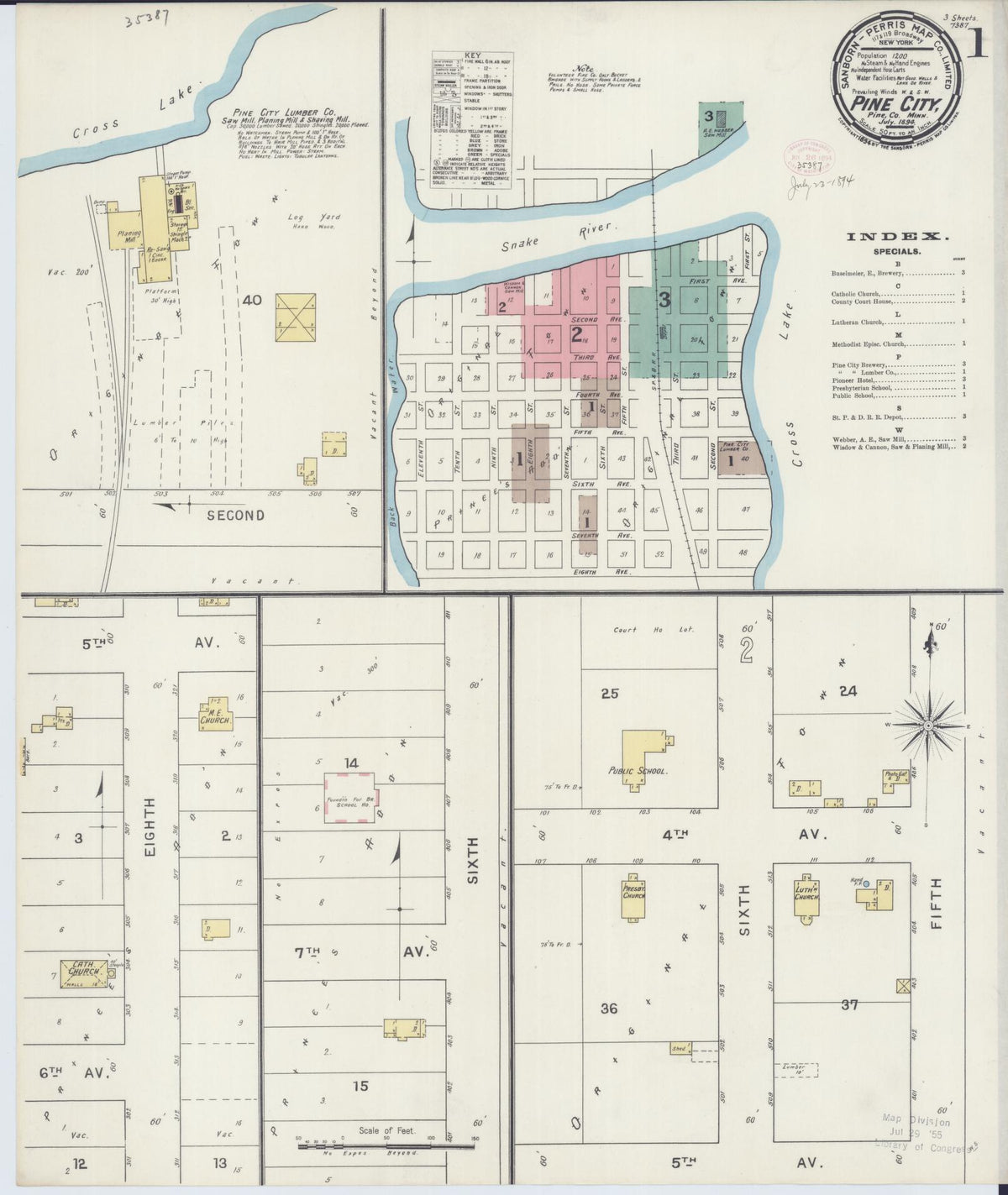 Sanborn Fire Insurance Map from Pine City, Pine County, Minnesota (1894), Sheet #0001 - Historic Sanborn Fire Insurance Map Print, vintage old map wall art, antique decor, genealogy gift, Minnesota Minnesota map