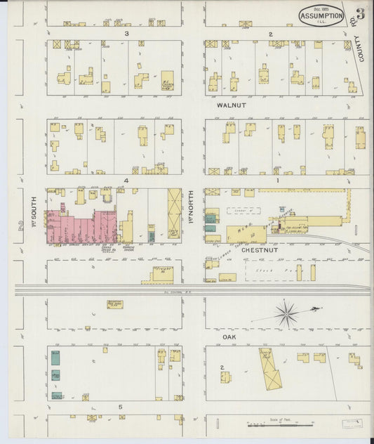 Sanborn Fire Insurance Map from Assumption, Christian County, Illinois (1893), Sheet #0003 - Historic Sanborn Fire Insurance Map Print, vintage old map wall art, antique decor, genealogy gift, Illinois Illinois map