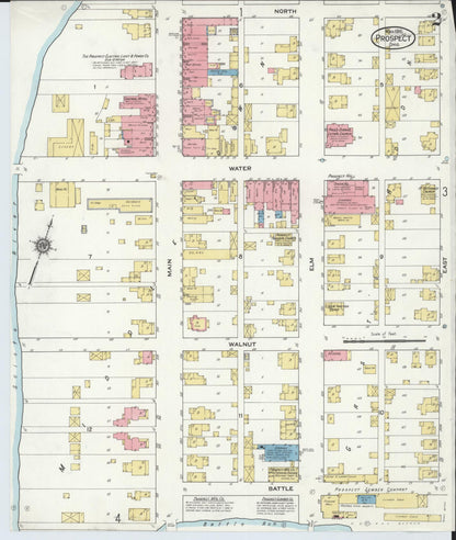 Sanborn Fire Insurance Map from Prospect, Marion County, Ohio (1916), Sheet #0002 - Historic Sanborn Fire Insurance Map Print, vintage old map wall art, antique decor, genealogy gift, Ohio Ohio map