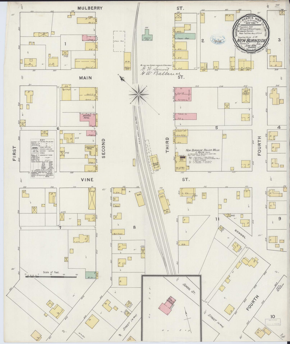 Sanborn Fire Insurance Map from New Burnside, Johnson County, Illinois (1894), Sheet #0001 - Historic Sanborn Fire Insurance Map Print, vintage old map wall art, antique decor, genealogy gift, Illinois Illinois map