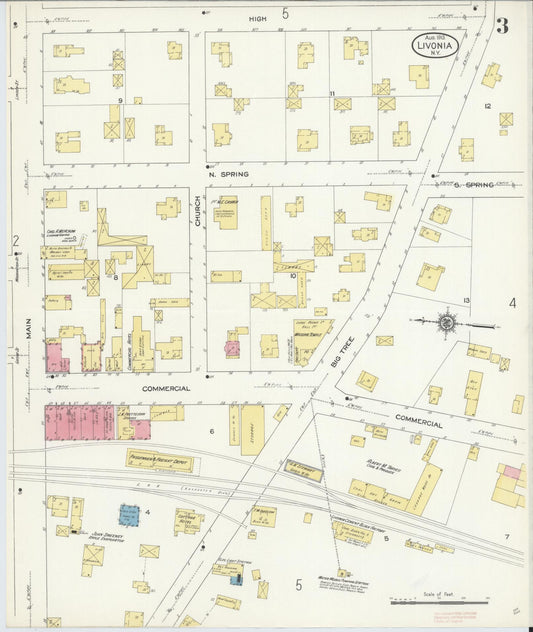 Sanborn Fire Insurance Map from Livonia, Livingston County, New York (1913), Sheet #0003 - Historic Sanborn Fire Insurance Map Print, vintage old map wall art, antique decor, genealogy gift, New York New York map