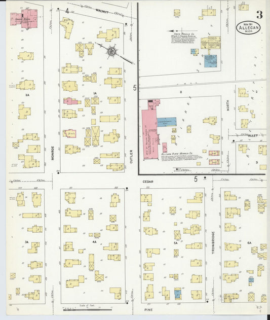 Sanborn Fire Insurance Map from Allegan, Allegan County, Michigan (1911), Sheet #0003 - Historic Sanborn Fire Insurance Map Print, vintage old map wall art, antique decor, genealogy gift, Michigan Michigan map