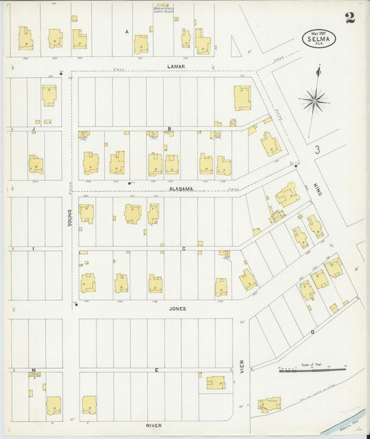Sanborn Fire Insurance Map from Selma, Dallas County, Alabama (1907), Sheet #0002 - Historic Sanborn Fire Insurance Map Print, vintage old map wall art, antique decor, genealogy gift, Alabama Alabama map
