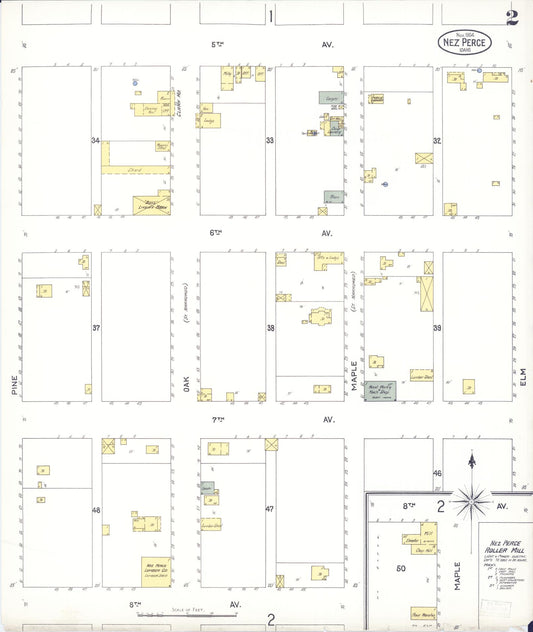 Sanborn Fire Insurance Map from Nez Perce, Lewis County, Idaho (1904), Sheet #0002 - Historic Sanborn Fire Insurance Map Print, vintage old map wall art, antique decor, genealogy gift, Idaho Idaho map