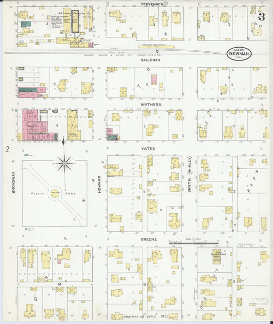 Sanborn Fire Insurance Map from Newman, Douglas County, Illinois (1909), Sheet #0003 - Historic Sanborn Fire Insurance Map Print, vintage old map wall art, antique decor, genealogy gift, Illinois Illinois map