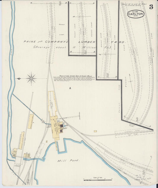 Sanborn Fire Insurance Map from Carlton, Carlton County, Minnesota (1892), Sheet #0003 - Historic Sanborn Fire Insurance Map Print, vintage old map wall art, antique decor, genealogy gift, Minnesota Minnesota map