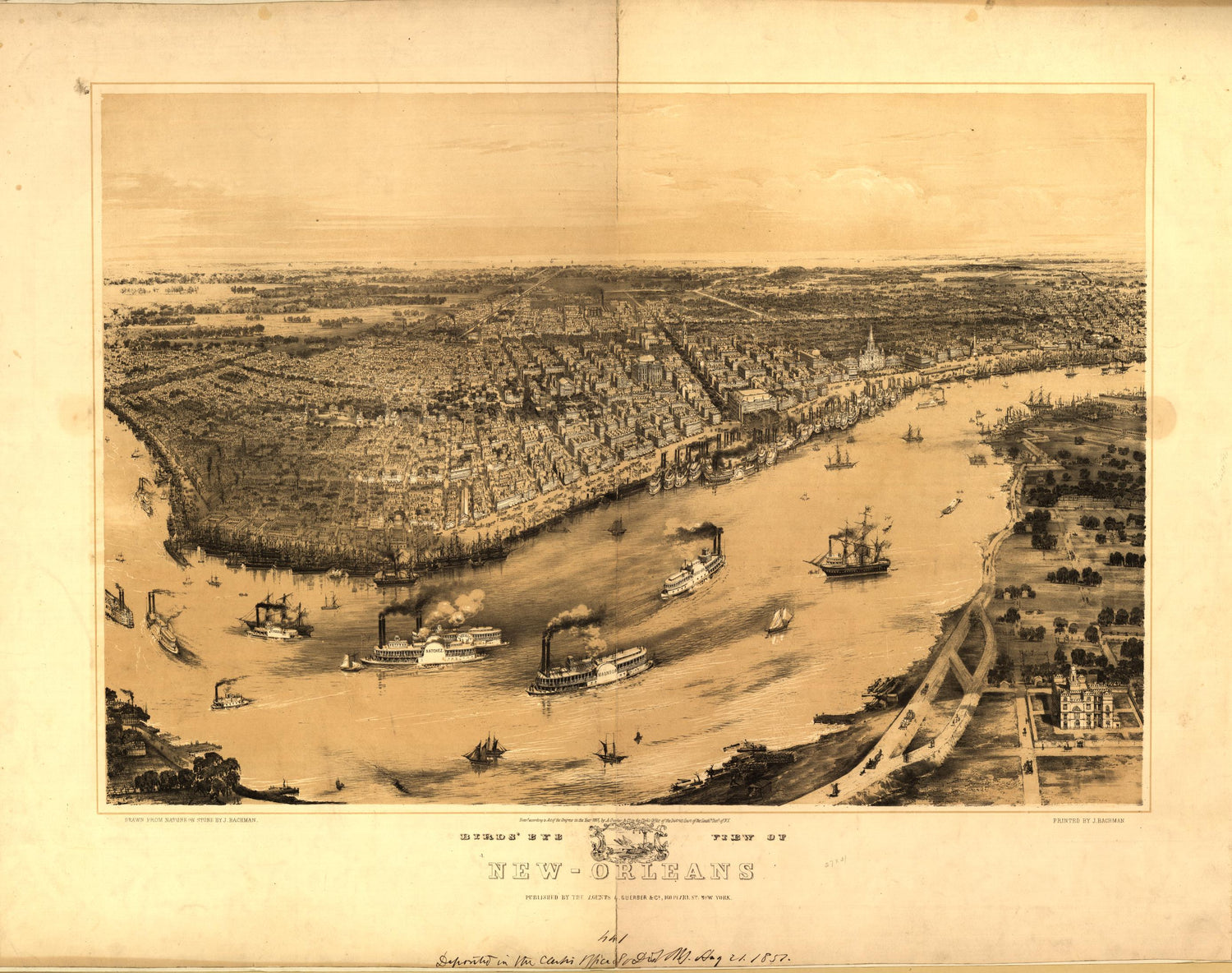 Birds' eye view of New-Orleans (1851) – Historic Bird’s-Eye View Panorama Print