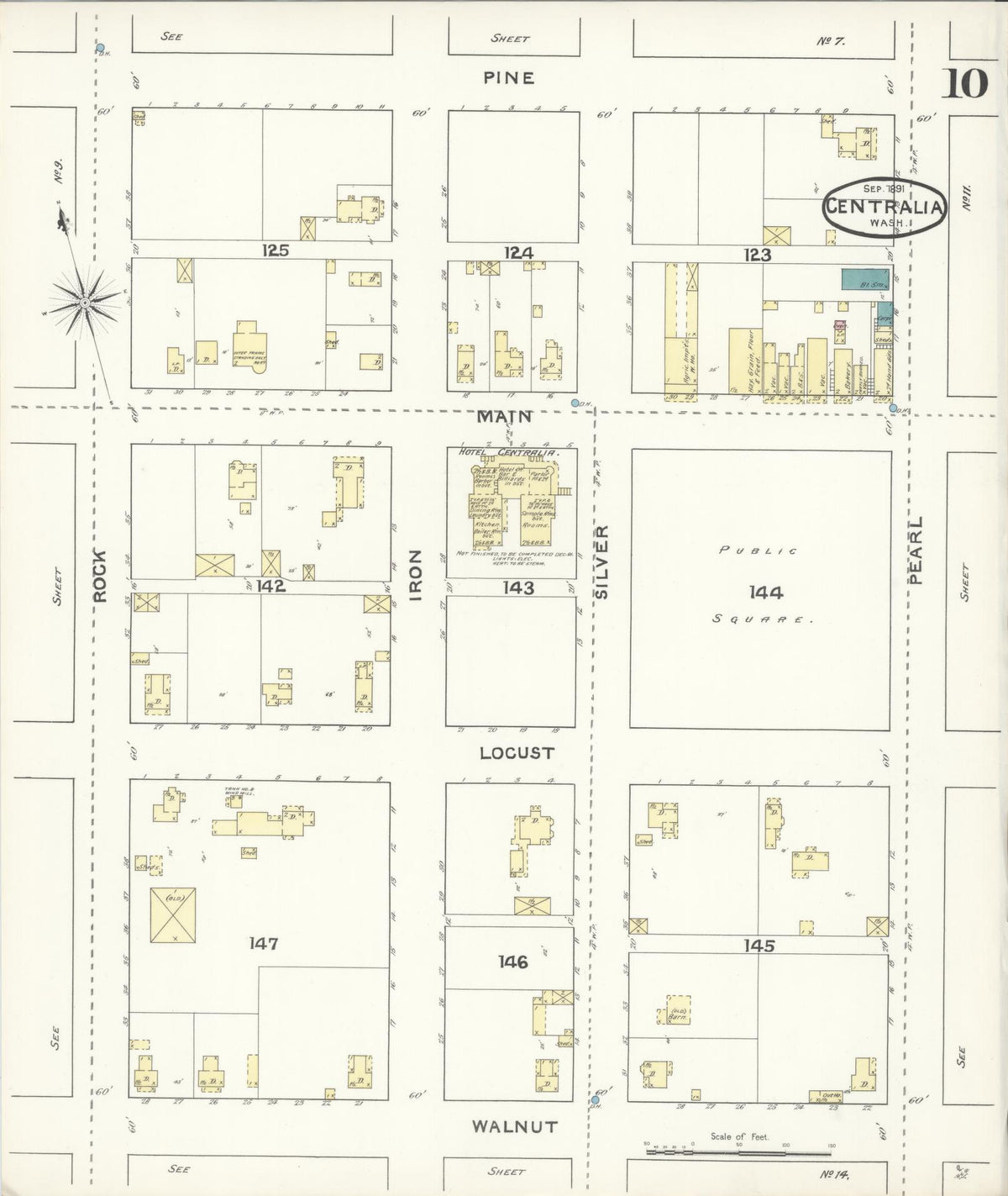 Sanborn Fire Insurance Map from Centralia, Lewis County, Washington (1891), Sheet #0010 - Historic Sanborn Fire Insurance Map Print, vintage old map wall art, antique decor, genealogy gift, Washington Washington map