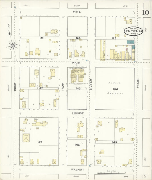 Sanborn Fire Insurance Map from Centralia, Lewis County, Washington (1891), Sheet #0010 - Historic Sanborn Fire Insurance Map Print, vintage old map wall art, antique decor, genealogy gift, Washington Washington map