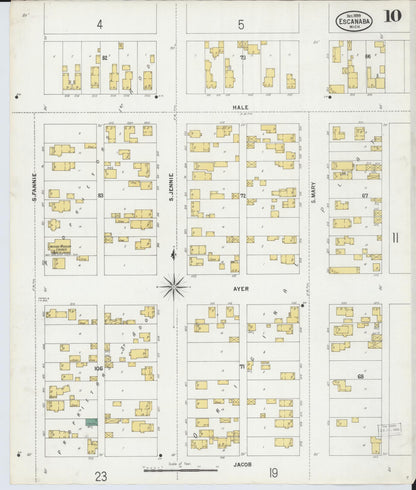 Sanborn Fire Insurance Map from Escanaba, Delta County, Michigan (1899), Sheet #0010 - Historic Sanborn Fire Insurance Map Print, vintage old map wall art, antique decor, genealogy gift, Michigan Michigan map