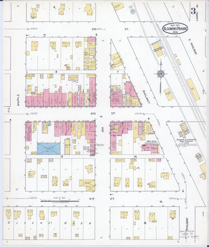 Sanborn Fire Insurance Map from Blooming Prairie, Steele County, Minnesota (1917), Sheet #0003 - Historic Sanborn Fire Insurance Map Print, vintage old map wall art, antique decor, genealogy gift, Minnesota Minnesota map