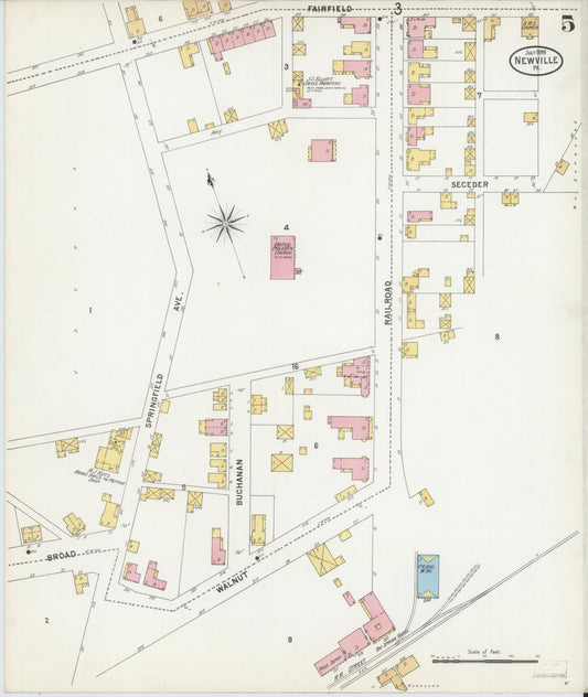 Sanborn Fire Insurance Map from Newville, Cumberland County, Pennsylvania (1899), Sheet #0005 - Historic Sanborn Fire Insurance Map Print, vintage old map wall art, antique decor, genealogy gift, Pennsylvania Pennsylvania map