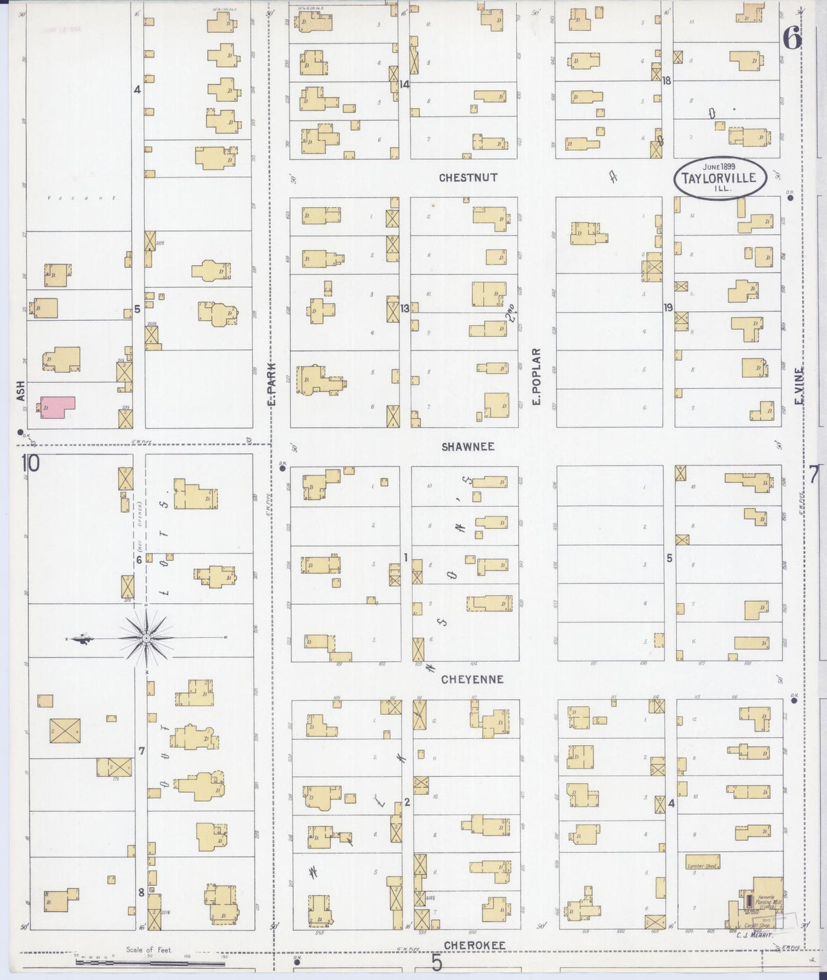 Sanborn Fire Insurance Map from Taylorville, Christian County, Illinois (1899), Sheet #0006 - Historic Sanborn Fire Insurance Map Print, vintage old map wall art, antique decor, genealogy gift, Illinois Illinois map