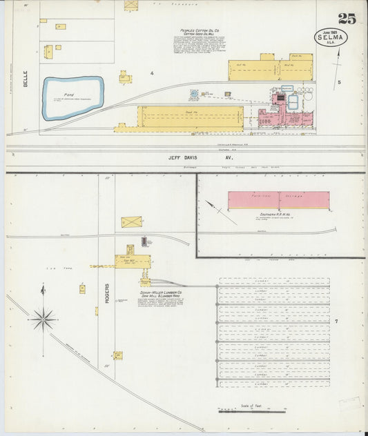 Sanborn Fire Insurance Map from Selma, Dallas County, Alabama (1903), Sheet #0025 - Historic Sanborn Fire Insurance Map Print, vintage old map wall art, antique decor, genealogy gift, Alabama Alabama map