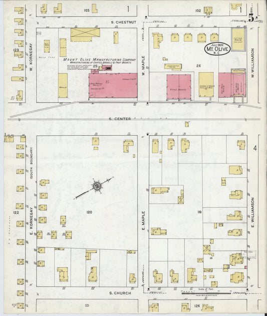 Sanborn Fire Insurance Map from Mount Olive, Wayne County, North Carolina (1920), Sheet #0005 - Historic Sanborn Fire Insurance Map Print, vintage old map wall art, antique decor, genealogy gift, North Carolina North Carolina map