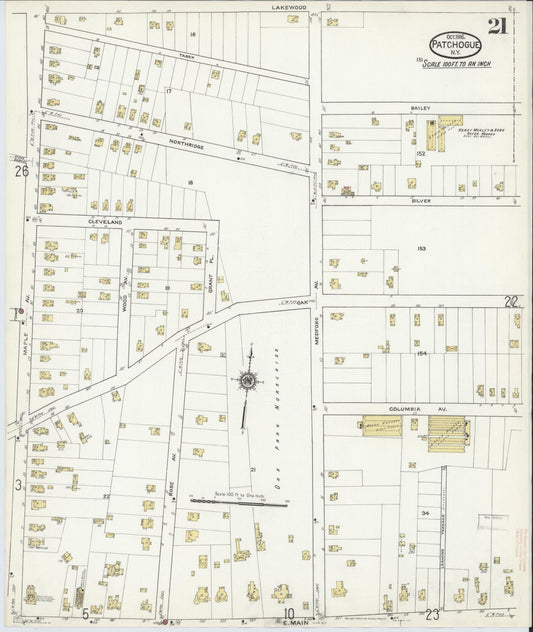 Sanborn Fire Insurance Map from Patchogue, Suffolk County, New York (1916), Sheet #0021 - Historic Sanborn Fire Insurance Map Print, vintage old map wall art, antique decor, genealogy gift, New York New York map