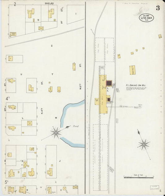 Sanborn Fire Insurance Map from Live Oak, Suwanee County, Florida (1903), Sheet #0003 - Historic Sanborn Fire Insurance Map Print, vintage old map wall art, antique decor, genealogy gift, Florida Florida map