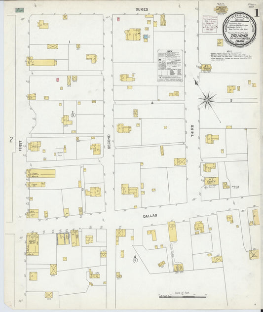Sanborn Fire Insurance Map from Talihina, Le Flore County, Oklahoma (1901), Sheet #0001 - Complete Map Set gallery image, historic Sanborn map, vintage wall art, Oklahoma Oklahoma