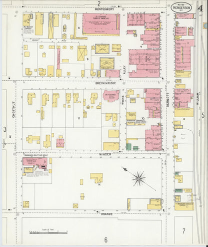 Sanborn Fire Insurance Map from Henderson, Vance County, North Carolina (1901), Sheet #0004 - Complete Map Set gallery image, historic Sanborn map, vintage wall art, North Carolina North Carolina