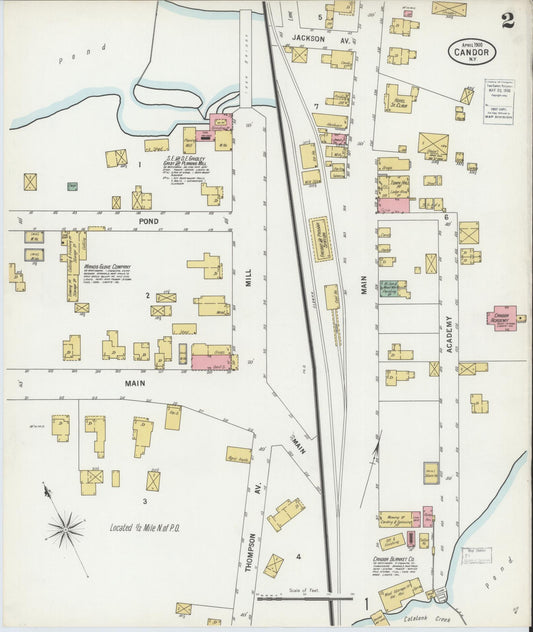 Sanborn Fire Insurance Map from Candor, Tioga County, New York (1900), Sheet #0002 - Historic Sanborn Fire Insurance Map Print, vintage old map wall art, antique decor, genealogy gift, New York New York map