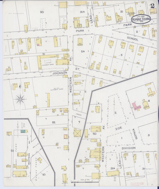Sanborn Fire Insurance Map from Bonne Terre, Saint Francois County, Missouri (1894), Sheet #0002 - Historic Sanborn Fire Insurance Map Print, vintage old map wall art, antique decor, genealogy gift, Missouri Missouri map