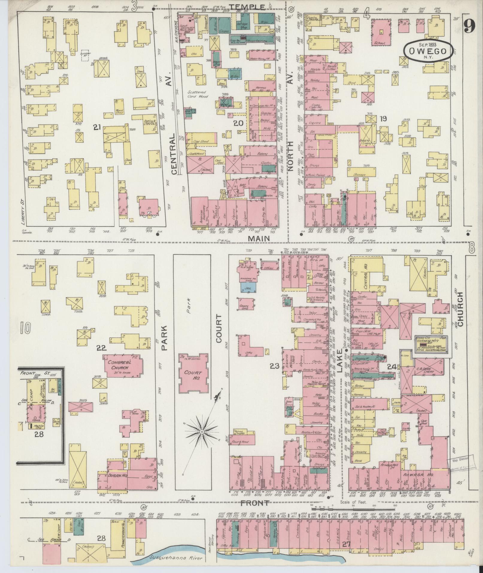 Sanborn Fire Insurance Map from Owego, Tioga County, New York (1893), Sheet #0009 - Historic Sanborn Fire Insurance Map Print, vintage old map wall art, antique decor, genealogy gift, New York New York map