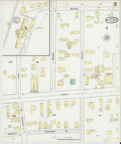 Sanborn Fire Insurance Map from Waltham, Middlesex County, Massachusetts (1892), Sheet #0003 - Historic Sanborn Fire Insurance Map Print, vintage old map wall art, antique decor, genealogy gift, Massachusetts Massachusetts map