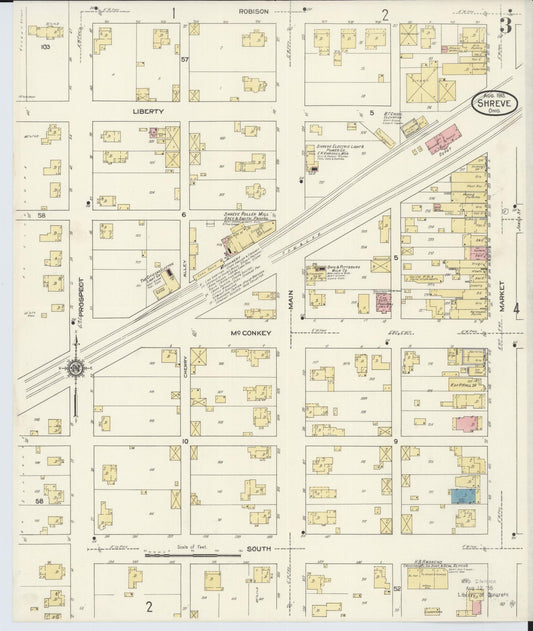 Sanborn Fire Insurance Map from Shreve, Wayne County, Ohio (1913), Sheet #0003 - Historic Sanborn Fire Insurance Map Print, vintage old map wall art, antique decor, genealogy gift, Ohio Ohio map