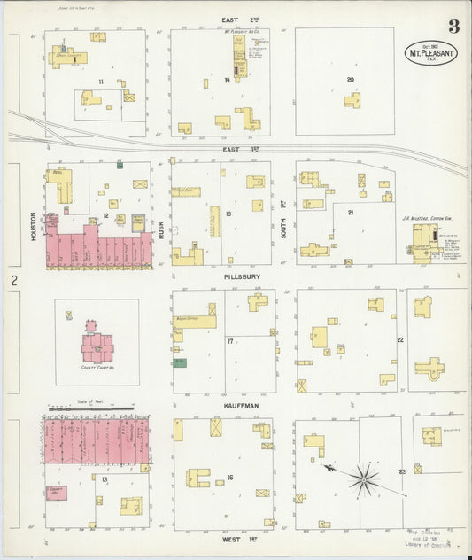 Sanborn Fire Insurance Map from Mount Pleasant, Titus County, Texas (1901), Sheet #0003 - Historic Sanborn Fire Insurance Map Print, vintage old map wall art, antique decor, genealogy gift, Texas Texas map