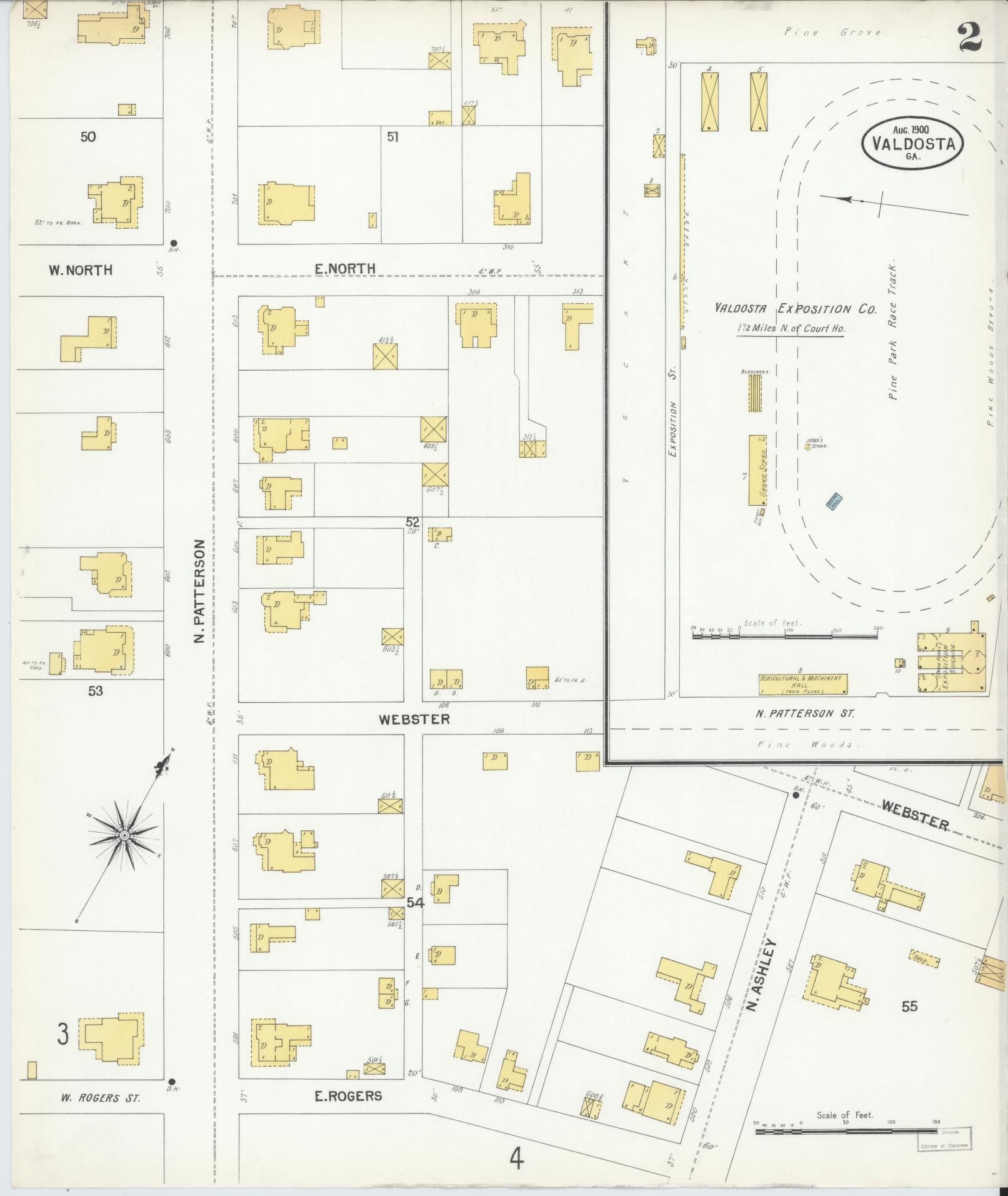 Sanborn Fire Insurance Map from Valdosta, Lowndes County, Georgia (1900), Sheet #0002 - Historic Sanborn Fire Insurance Map Print, vintage old map wall art, antique decor, genealogy gift, Georgia Georgia map