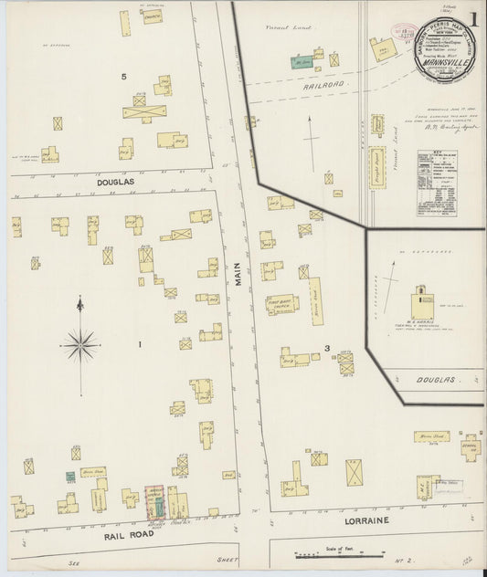Sanborn Fire Insurance Map from Mannsville, Jefferson County, New York (1890), Sheet #0001 - Historic Sanborn Fire Insurance Map Print, vintage old map wall art, antique decor, genealogy gift, New York New York map