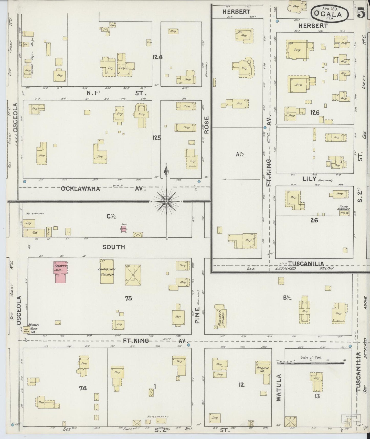 Sanborn Fire Insurance Map from Ocala, Marion County, Florida (1891), Sheet #0005 - Historic Sanborn Fire Insurance Map Print, vintage old map wall art, antique decor, genealogy gift, Florida Florida map