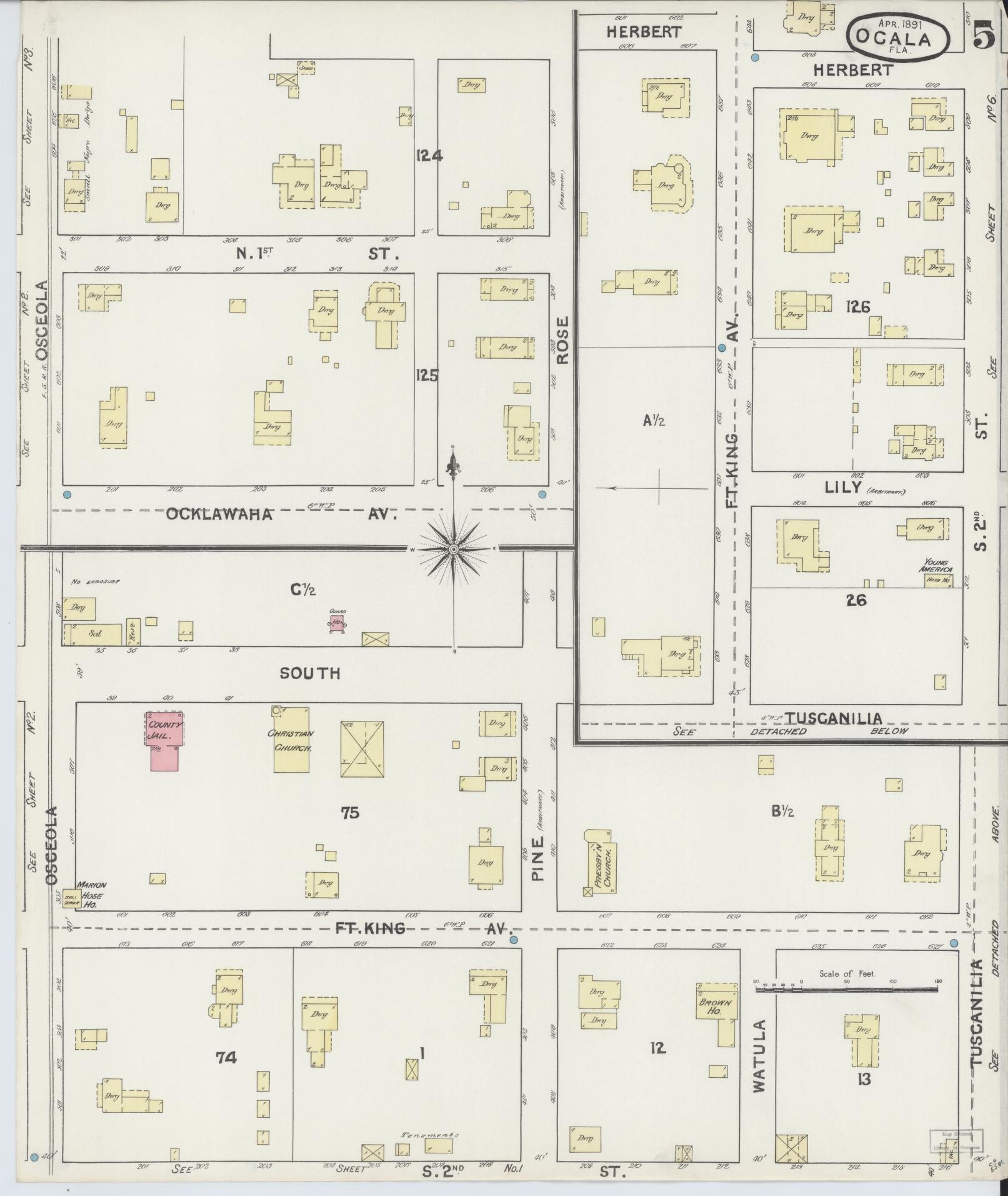 Sanborn Fire Insurance Map from Ocala, Marion County, Florida (1891), Sheet #0005 - Historic Sanborn Fire Insurance Map Print, vintage old map wall art, antique decor, genealogy gift, Florida Florida map