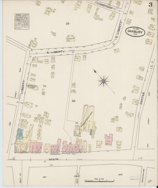 Sanborn Fire Insurance Map from Danbury, Fairfield County, Connecticut (1884), Sheet #0003 - Historic Sanborn Fire Insurance Map Print, vintage old map wall art, antique decor, genealogy gift, Connecticut Connecticut map