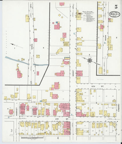 Sanborn Fire Insurance Map from Ripley, Brown County, Ohio (1920), Sheet #0005 - Historic Sanborn Fire Insurance Map Print, vintage old map wall art, antique decor, genealogy gift, Ohio Ohio map